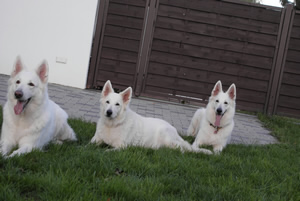 Davinia, Keona & Coralie